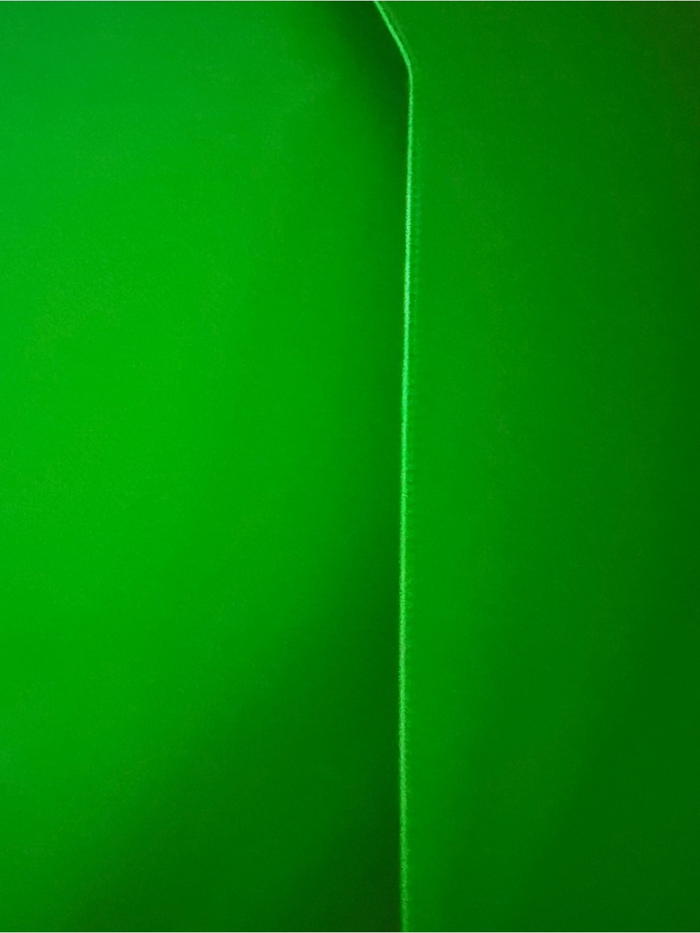 VTG ‘13 Trapper Keeper Green Accordion Document Organizer - Picture 6 of 9